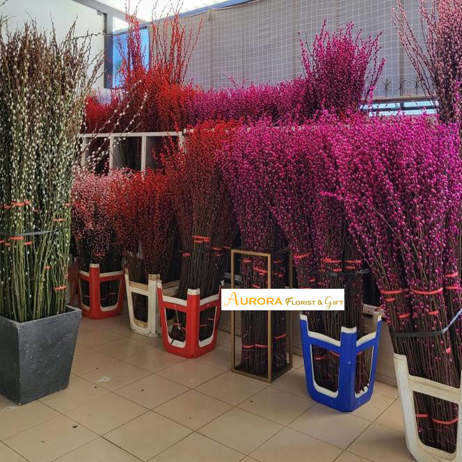 Pussy Willow Pink Color, Single (10 Stalks)